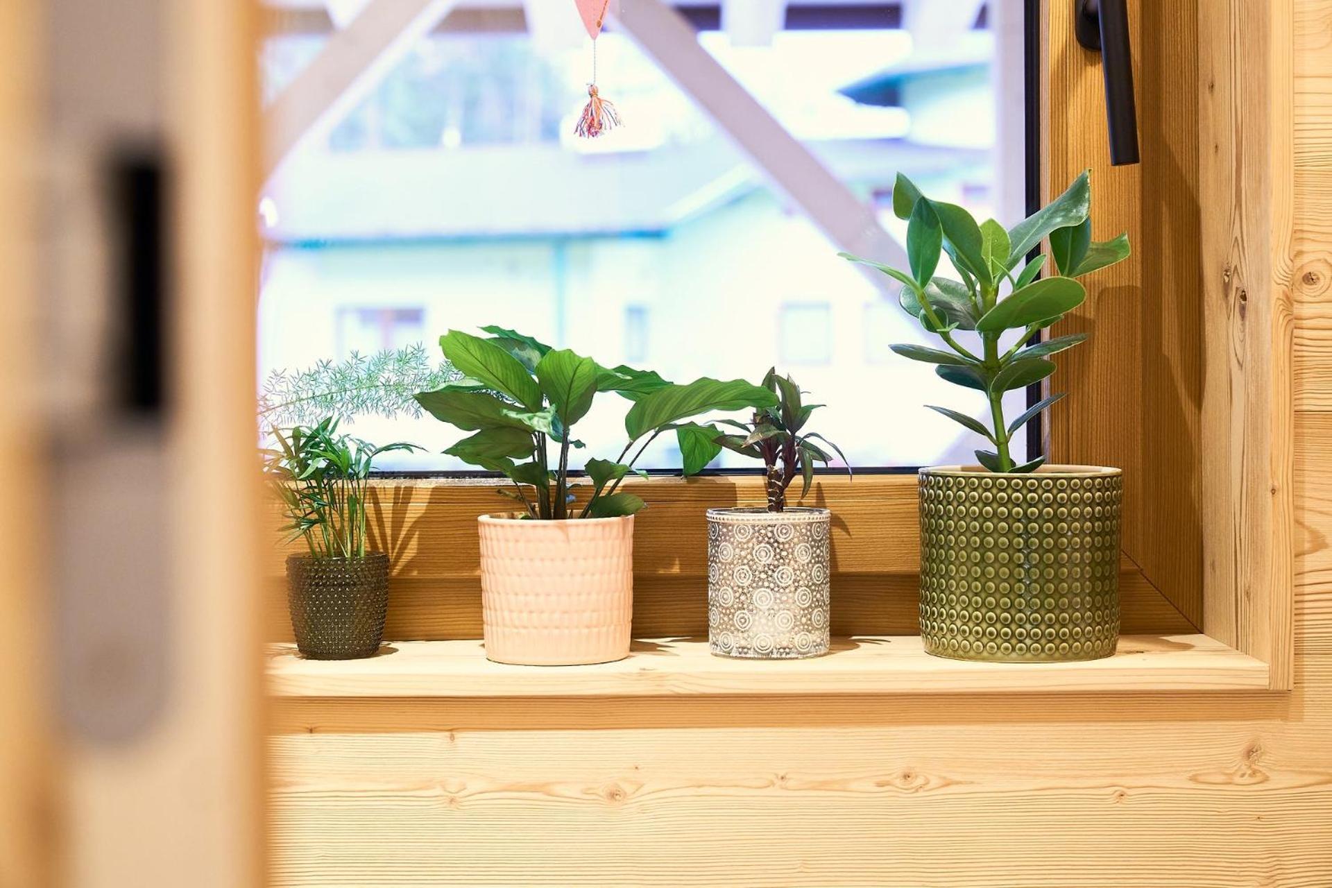 Das Habitat Leutasch Ngoại thất bức ảnh
